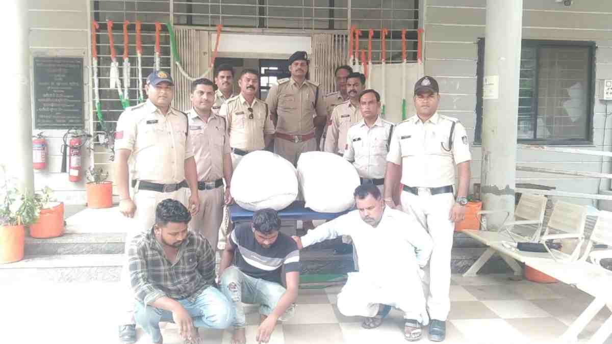 पुलिस की बड़ी कार्रवाई: 70 किलो गांजे के साथ तीन आरोपी गिरफ्तार, महाराष्ट्र से हरदा बेचने आए थे बदमाश