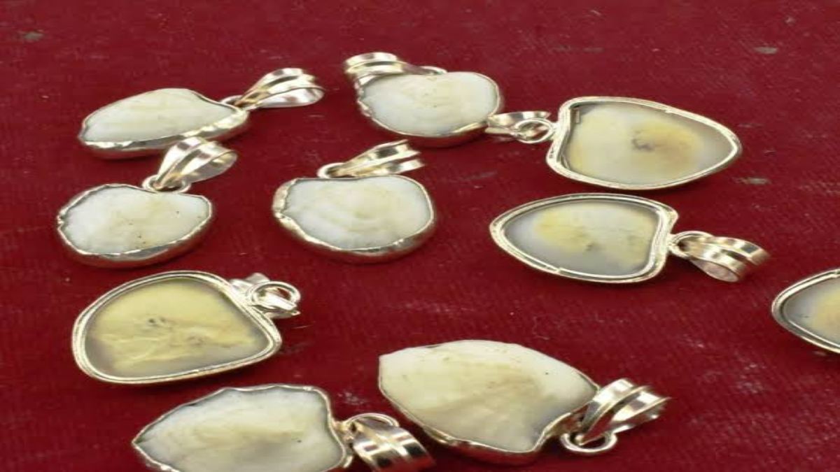 Fish Gem: एक दुर्लभ रत्न से राहु के कष्टों का अचूक उपाय है, इसे कौन पहन सकता है?