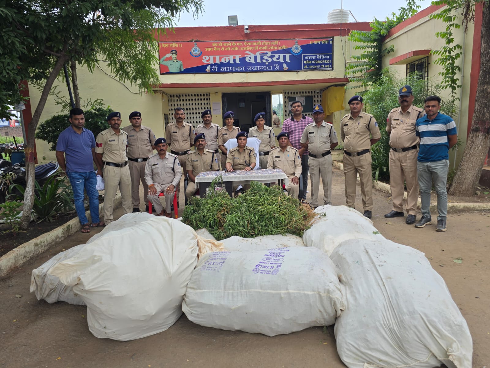 फसल की आड़ में हो रही थी गांजे की खेती, 13 लाख रुपए के पौधे जब्त, 2 आरोपी गिरफ्तार