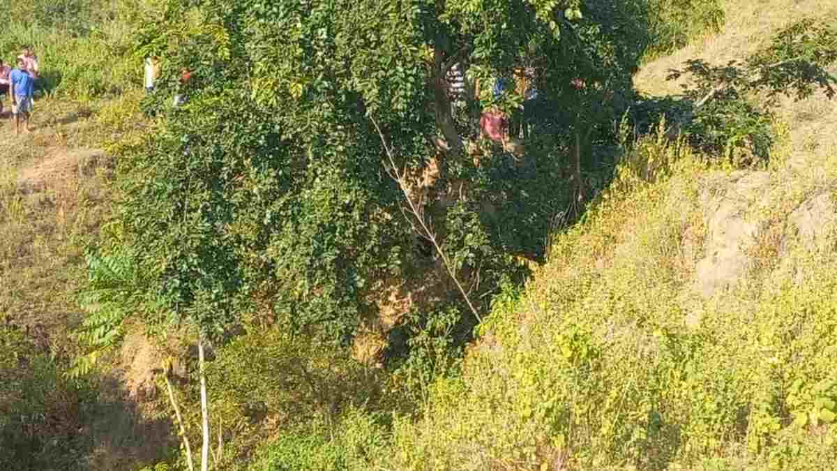 सिर पेड़ पर और धड़ नीचे: 15 दिनों से लापता युवक का मिला कंकाल, जांच में जुटी पुलिस