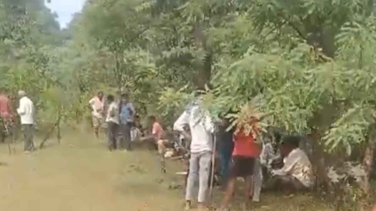 Seoni News: खवासा वन परिक्षेत्र में चरवाहा पर बाघ ने किया हमला, मौत