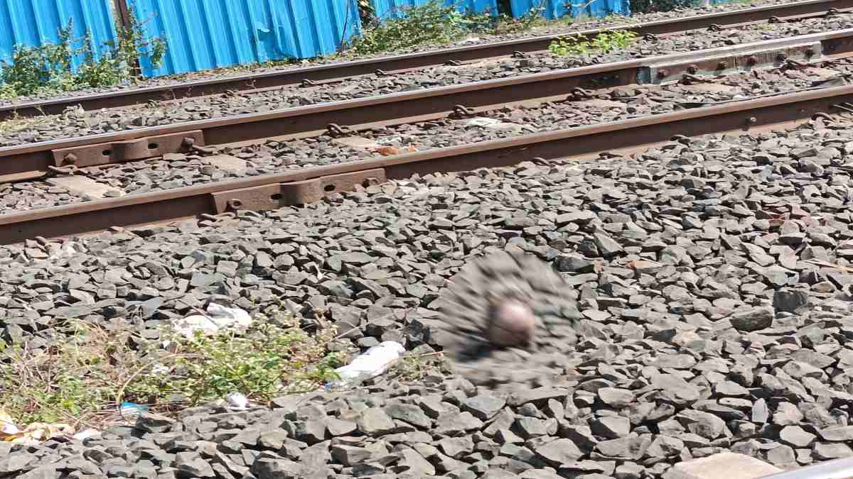 एम्स के अकाउंटेंट का 4 दिन बाद मिला कटा सिरः घटनास्थल से 70 फीट दूर पड़ा था दीपक महोबे का सिर