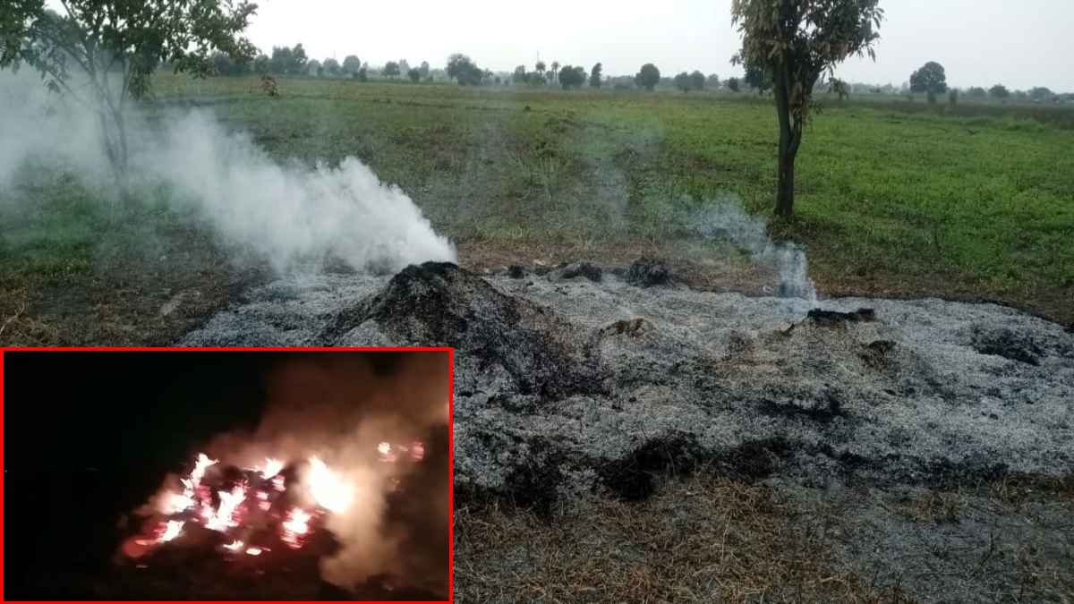 ‘बचाने कोई आया तो उसे भी जला देंगे’.. बदमाशों ने महिला किसान की 15 लाख की फसल में लगाई आग, इससे पहले घर में की थी तोड़फोड़
