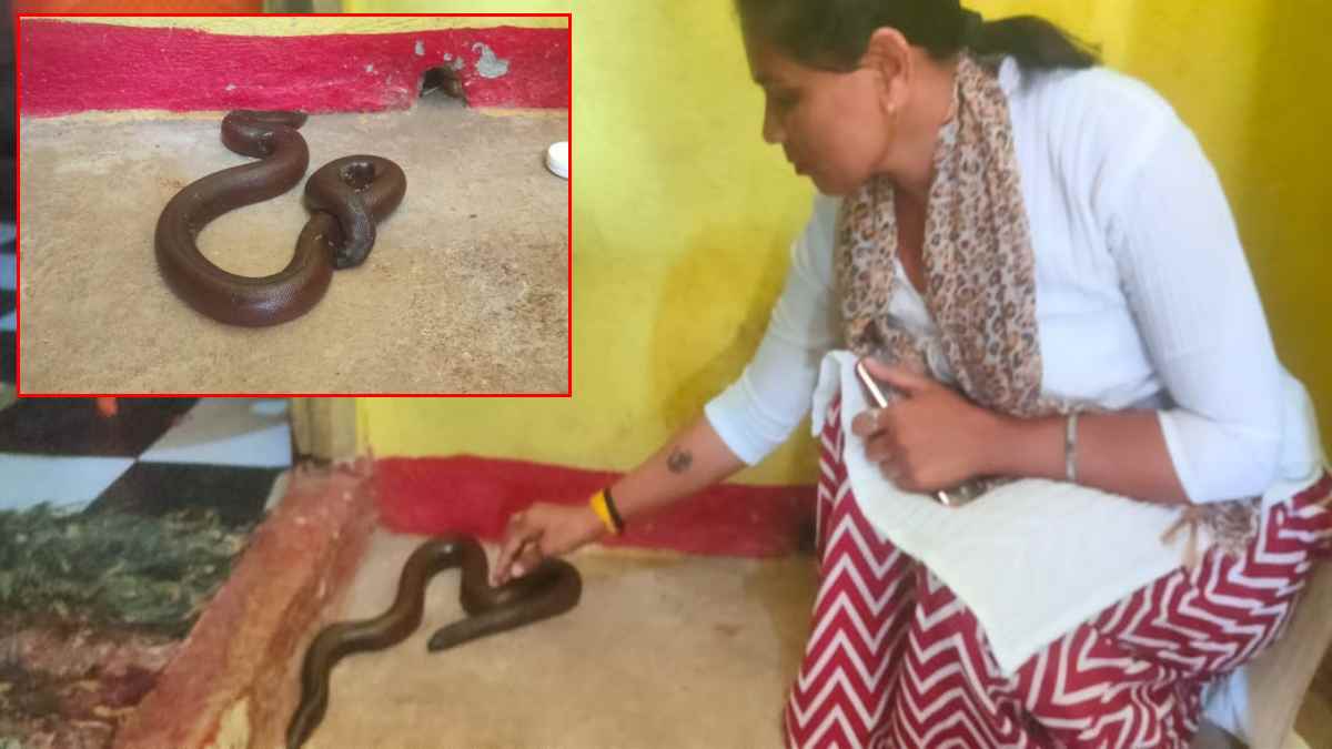घर में दो मुंह की प्रजाति का सांप देख बच्चों की निकली चीख, लोग पहुंचे मारने तभी..