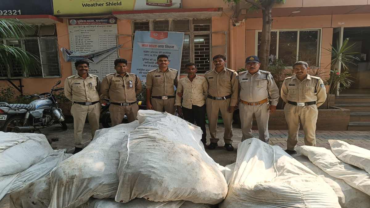 गांजे की खेती पर बड़ी कार्रवाई: पुलिस ने 27 लाख के पौधे किए जब्त, 2 आरोपी गिरफ्तार