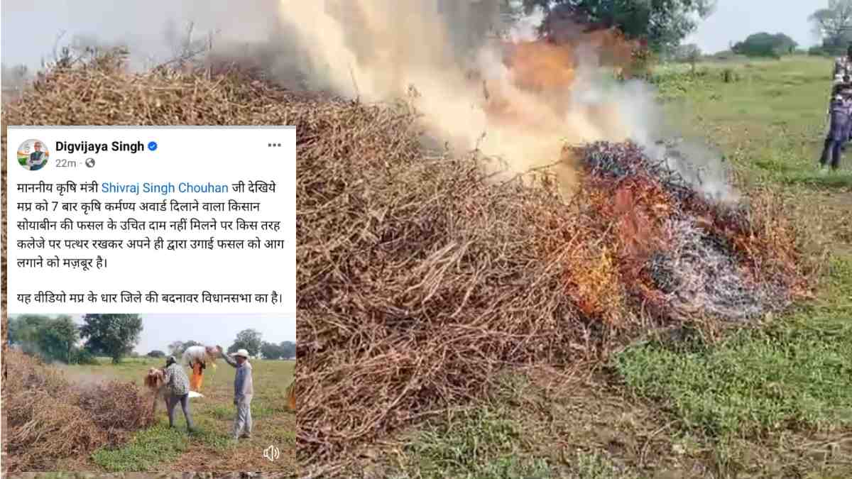 ये क्या! किसान ने अपनी ही फसल में लगा दी आग, पूर्व मुख्यमंत्री ने वीडियो शेयर कर कृषि मंत्री से कही ये बात