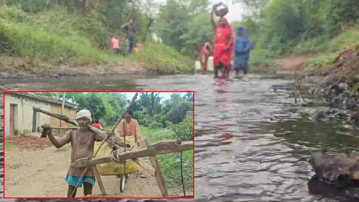 नाले के पानी से बुझाई जा रही प्यास: बूंद-बूंद के लिए तरस रहे राष्ट्रपति के दत्तक पुत्र बैगा आदिवासी, दशकों से विकास की दरकार