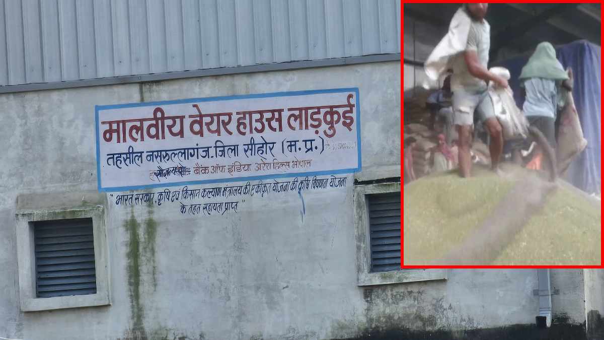ये क्या! खुलेआम मूंग में मिलाई जा रही मिट्टी, वेयर हाउस संचालक की काली करतूत का Video वायरल