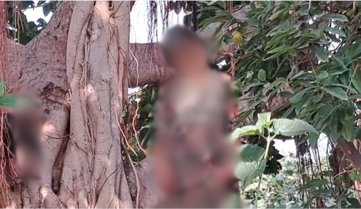 बेटी की हत्या कर फंदे में झूली मां, पेड़ पर मिले दोनों के शव, घर से लापता थी महिला