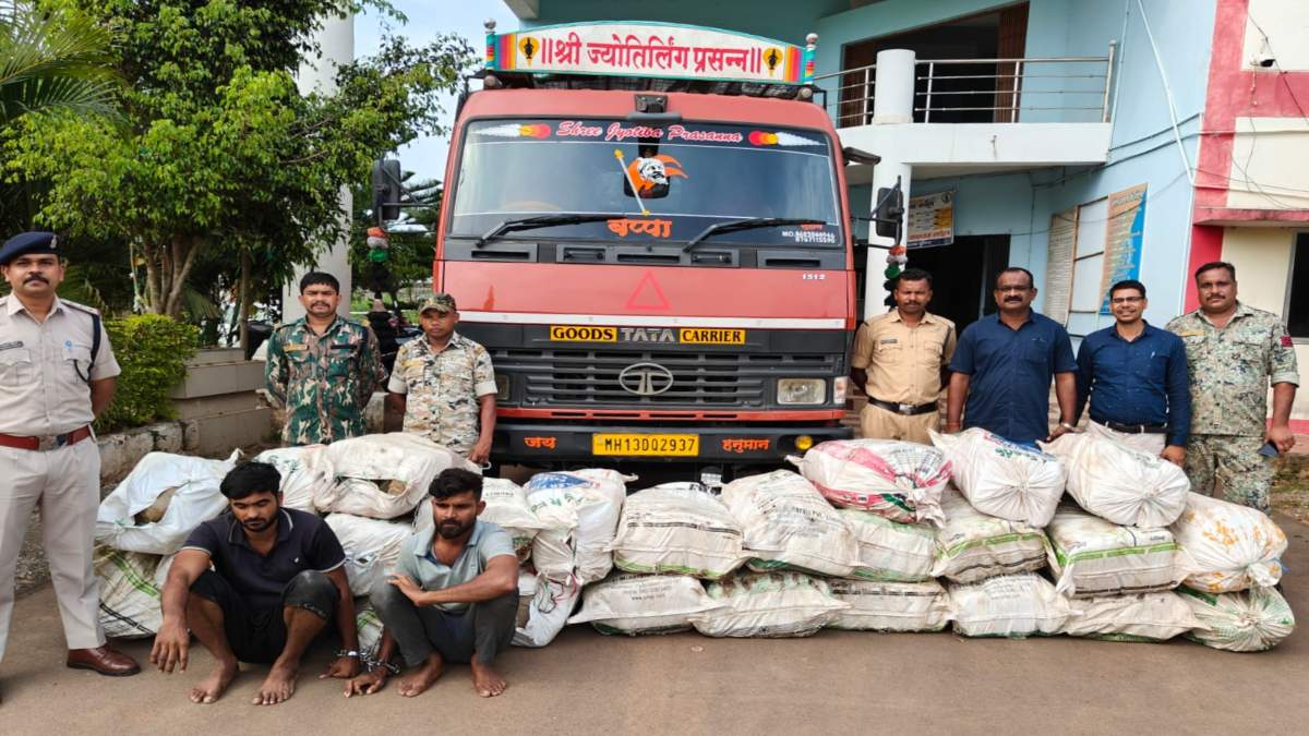 CG में नशे के खिलाफ बड़ी कार्रवाई: ट्रक में तेल के कंटेनर के बीच छिपाकर ओडिशा से ला रहे थे 80 लाख का गांजा, पुलिस ने 2 अंतरराज्यीय तस्करों को किया गिरफ़्तार
