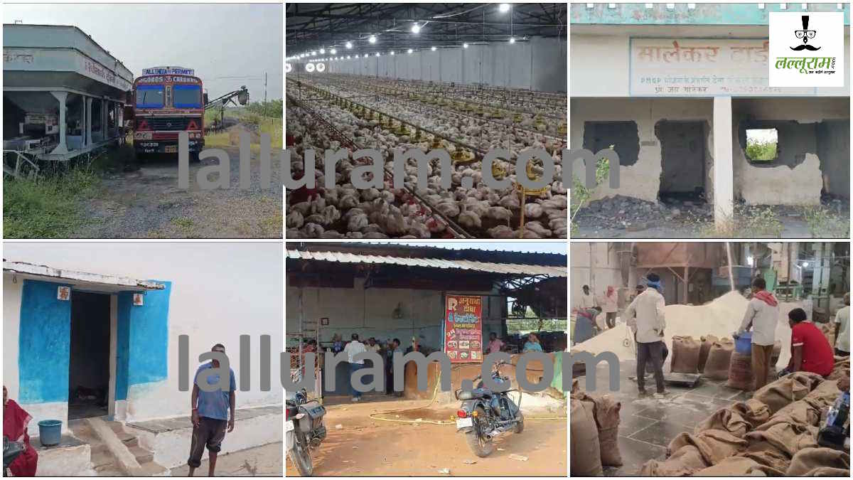 lalluram Exculsive : बारूद की ढेर पर बैठा महासमुंद! लाइसेंसधारी व्यापारियों ने आबादी वाले इलाकों में लगाकर रखा है पटाखों का ढेर, गोदाम की जगह कहीं खंडहर, कहीं पोल्ट्री फार्म, तो कहीं डामर प्लांट