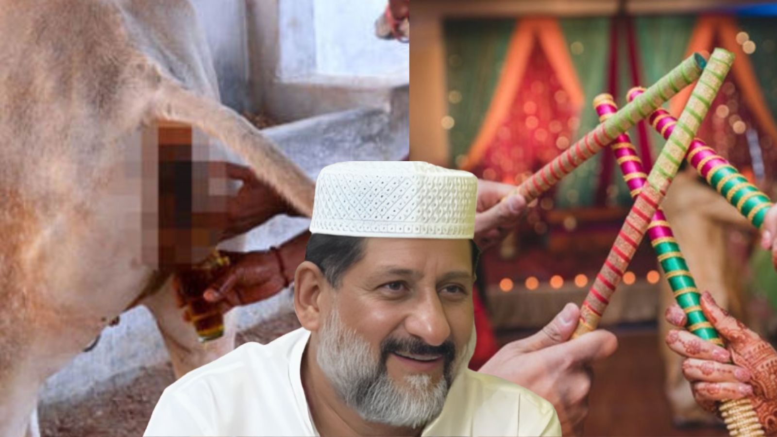 गौमूत्र पीने पर गरबा में एंट्री: कांग्रेस विधायक आरिफ मसूद ने किया समर्थन, कहा- इसमें आपत्ति क्या?