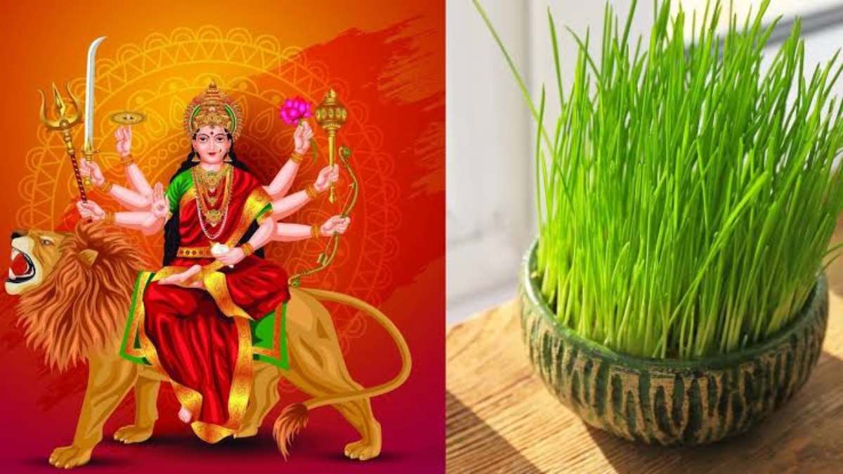 Navratri Special Jau Bone: नवरात्रि में जौ बोन की परंपरा के बारे में आप क्या जानते हैं इसके पीछे की वजह…