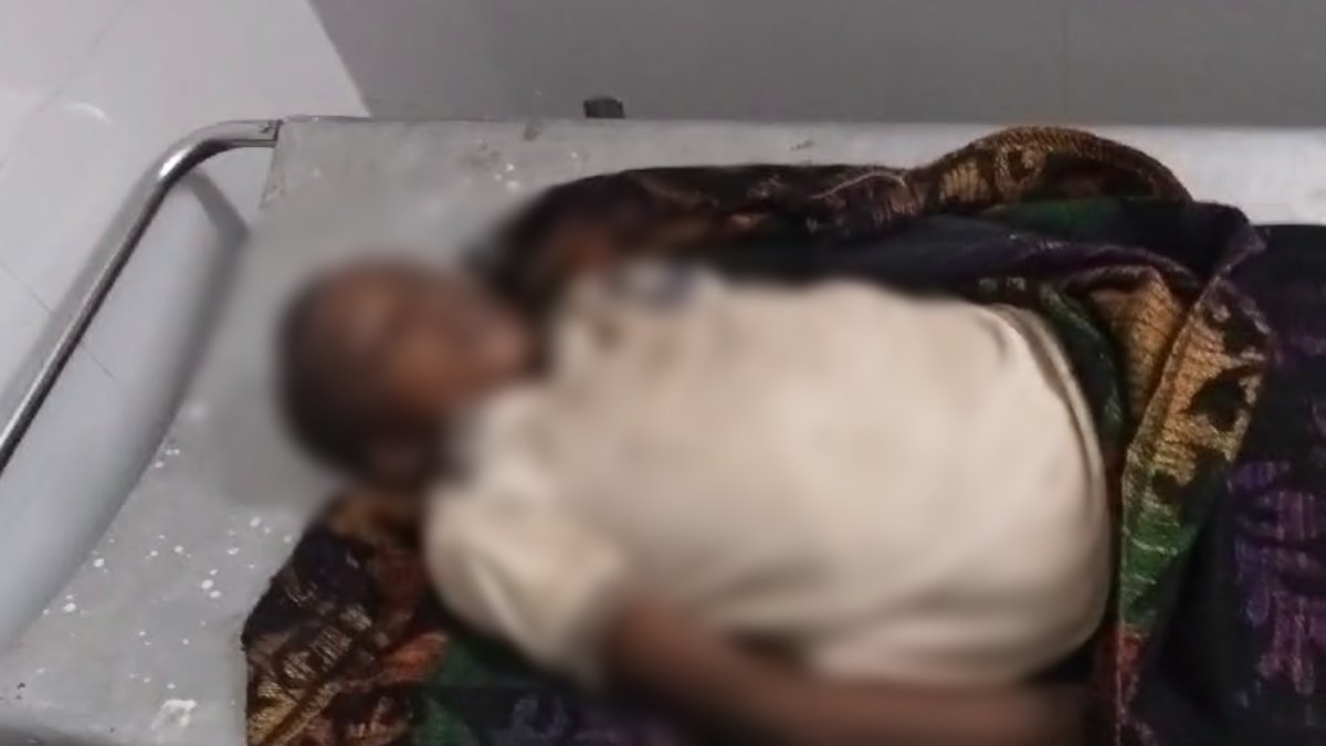SATNA NEWS: जहरीले कीड़े के काटने से बच्चे की मौत, बेहोशी की हालत में अस्पताल लेकर पहुंचे थे परिजन