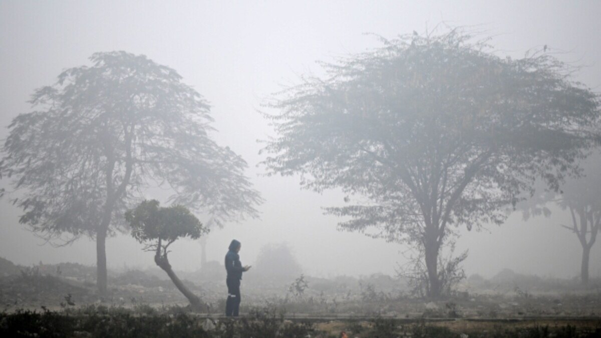 UP WEATHER NEWS : सुबह-सुबह और देर रात महसूस हो रही गुलाबी ठंड, बारिश को लेकर मौसम विभाग ने जताई ये संभावना