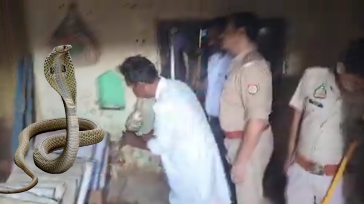 वाह रे यूपी पुलिस! नागिन को पकड़ने घर-घर बीन बजवा रहे खाकी वर्दी वाले, मेरठ से बुला रखी है सपेरों की टीम, देखिए Video