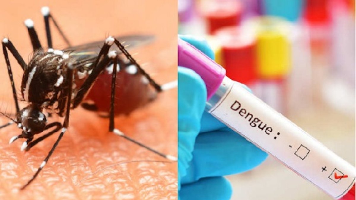 कौशांबी में डेंगू का कहर : 15 दिन में 8 लोगों की मौत, कई लोगों ने छोड़ा गांव