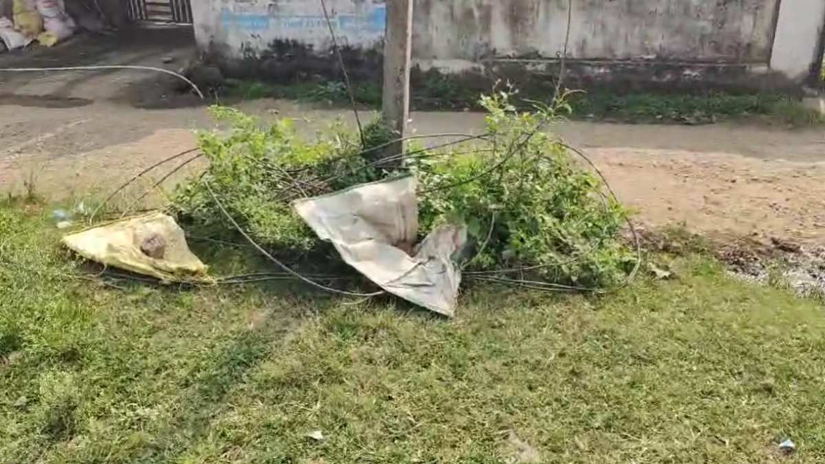 बड़ा हादसा टलाः करेंट प्रवाहित बिजली तार रात में टूटकर गिरी, कंपनी के जेई ने दिया बेतुका जवाब