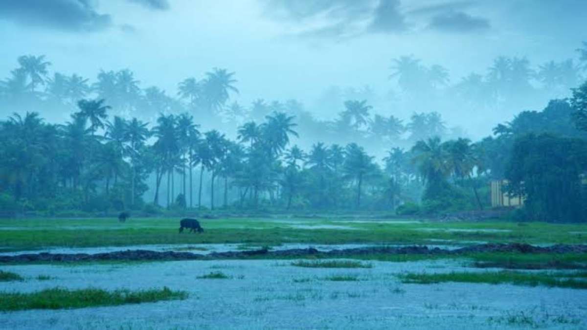 India Meteorological Department: अगले 2 दिनों में ओडिशा के कुछ हिस्सों में बारीश की संभावना, वापिस आ सकता है मानसून…