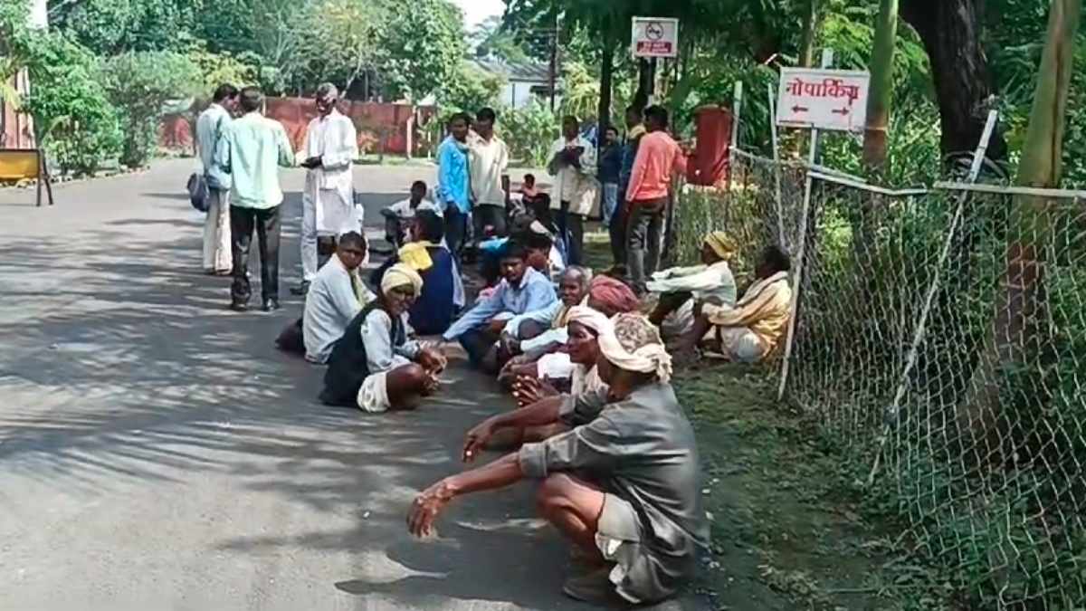 अन्नदाताओं के माथे पर चिंता की लकीरें: सोयाबीन और मक्के की फसल हुई बर्बाद, अब कलेक्टर से लगाई मुआवजे की गुहार