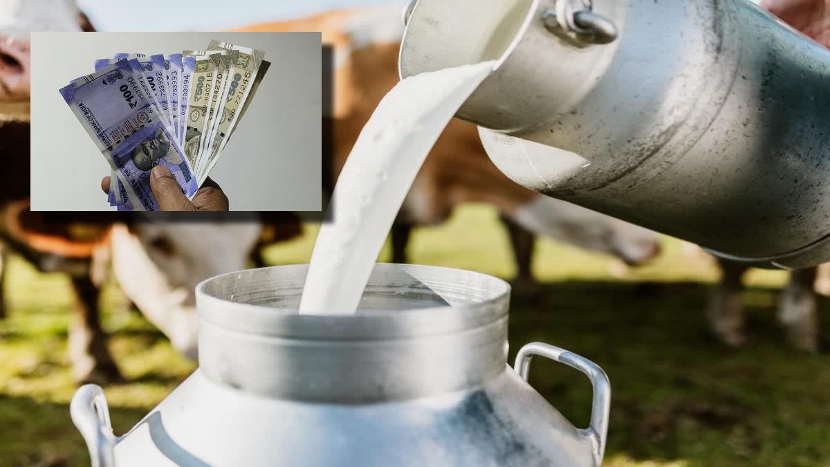 Uttarakhand News: दीपावली पर पशुपालकों को धामी सरकार का तोहफा, दुग्ध उत्पादन का बकाया भुगतान होगा जारी