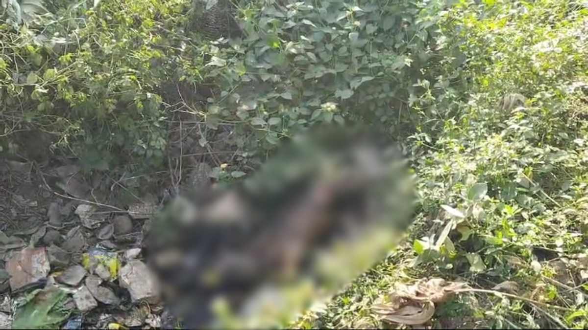 हत्या या हादसा? झाड़ियां में मिली सड़ी-गली लाश, लापता बुजुर्ग के शव होने का किया जा रहा दावा