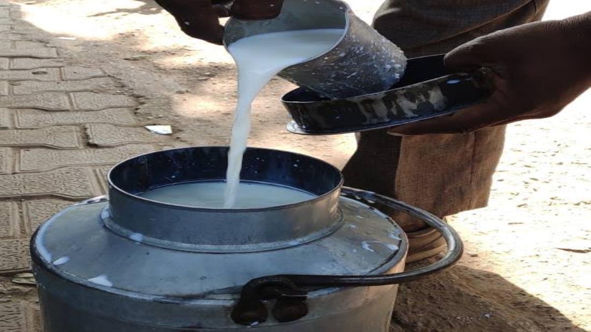 Fake Milk: दूध में यूरिया की मिलावट बताएगा तरबूज का बीजा, IIT-BHU ने बनाया डिवाइस…