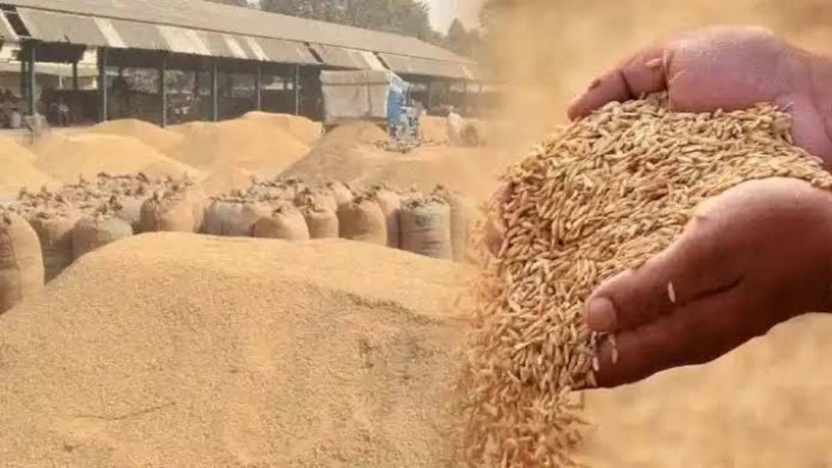 Chhattisgarh MSP: धान और मक्का की MSP खरीद के लिए 31 अक्टूबर तक करें पंजीकरण, सरकार ने जारी किया रिमाइंडर…