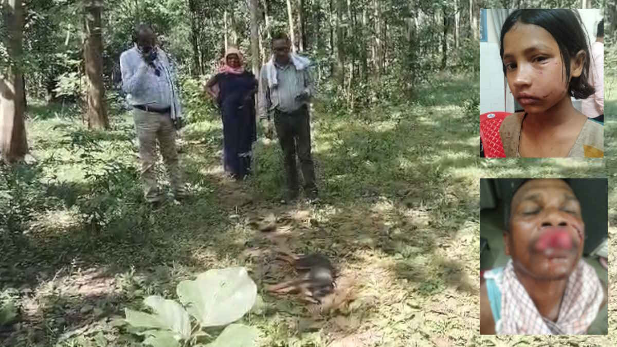 खत्म हुआ आतंक, 3 मासूम समेत 8 लोगों को काटने वाले पागल कुत्ते का ग्रामीणों ने किया काम तमाम…