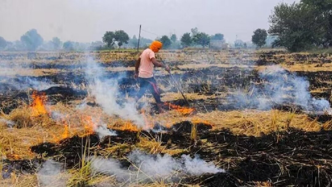पंजाब :  पराली जलाने की घटनाओं में 77% की कमी, क्या इससे दिल्ली में वायु प्रदूषण पर काबू पाया जा सकेगा ?