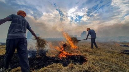 पराली जलाने को लेकर मान सरकार ने ली अहम बैठक, एक स्थायी अभियान चलाने दिए निर्देश