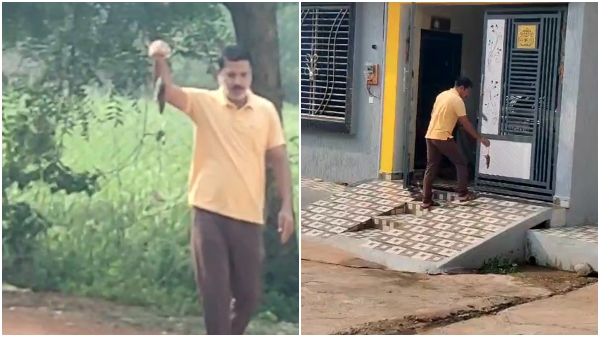चूहा बना विवाद की वजह: BJP नेता ने पड़ोसी के घर पर बरसाए पत्थर, गेट बंद कर परिवार ने बचाई जान, मामला जानकर हो जाएंगे हैरान