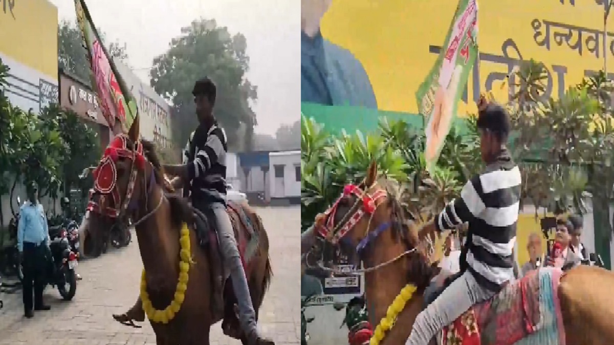 Bihar by-Election Result: कहीं ढोल नगाड़े तो कहीं घोड़े पर सवार होकर NDA के कार्यकर्ताओं ने मनाया जीत का जश्न, देखें VIDEO