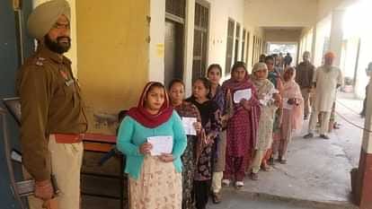 पंजाब उपचुनाव मतदान : शाम पांच बजे तक हुआ 59.67 प्रतिशत मतदान, गिद्दड़बाहा में सबसे अधिक 78.1 फीसदी हुआ मतदान