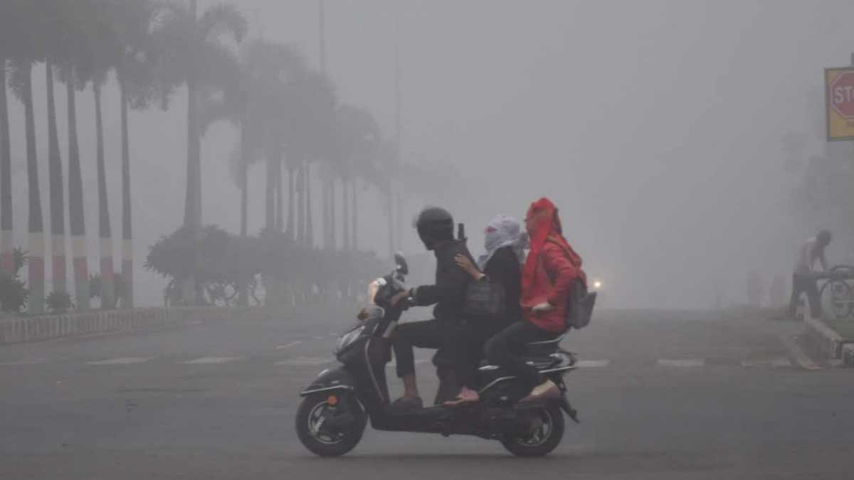 MP Weather Update: दिसंबर से पहले कहर बरपा रही ठंड, कोहरे में डूबी राजधानी, ग्वालियर-चंबल में भी मौसम सर्द