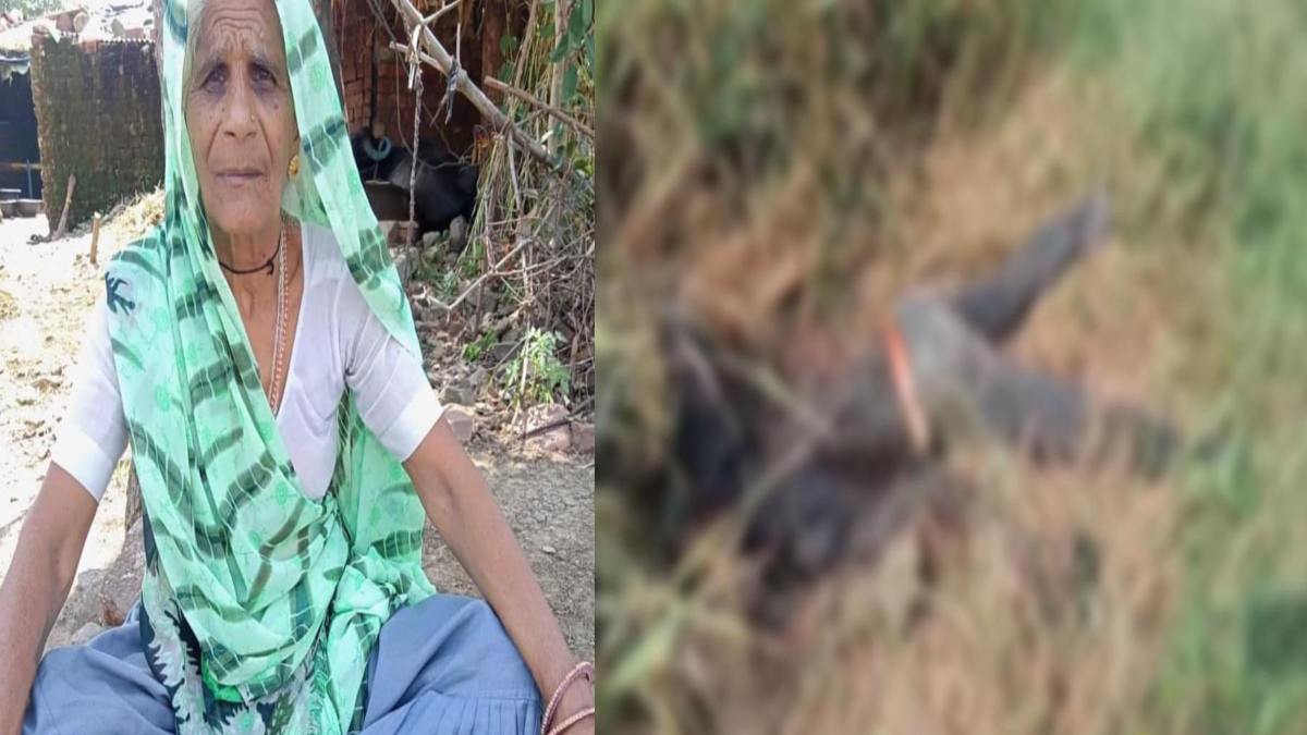 MP Crime News: डबरा में लापता युवक की मिली लाश, राजगढ़ में बुजुर्ग महिला का शव मिलने से सनसनी, परिजनों ने जताई हत्या की आशंका