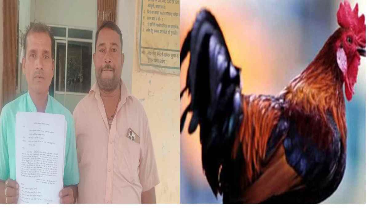 CG NEWS : लोन देने का लालच देकर 40 हजार का मुर्गा खा गया बैंक मैनेजर, पीड़ित किसान ने SDM से की शिकायत, कार्रवाई नहीं होने पर आत्मदाह की दी चेतावनी