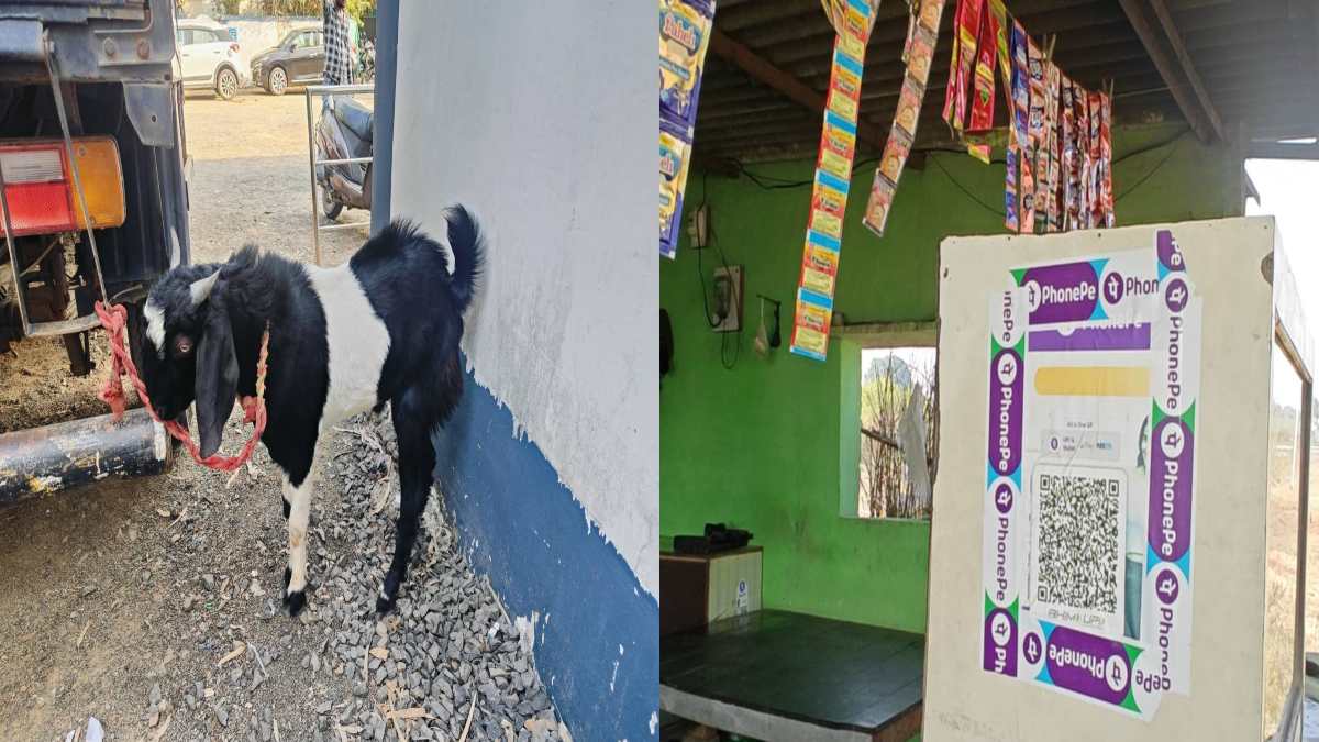 कार सवार चोरों ने दुकारदार को गच्चा देकर उसी का बकरा कर दिया पार, लेकिन फोन-पे ने बिगाड़ दिया काम, तरीका जान पकड़ लेंगे माथा