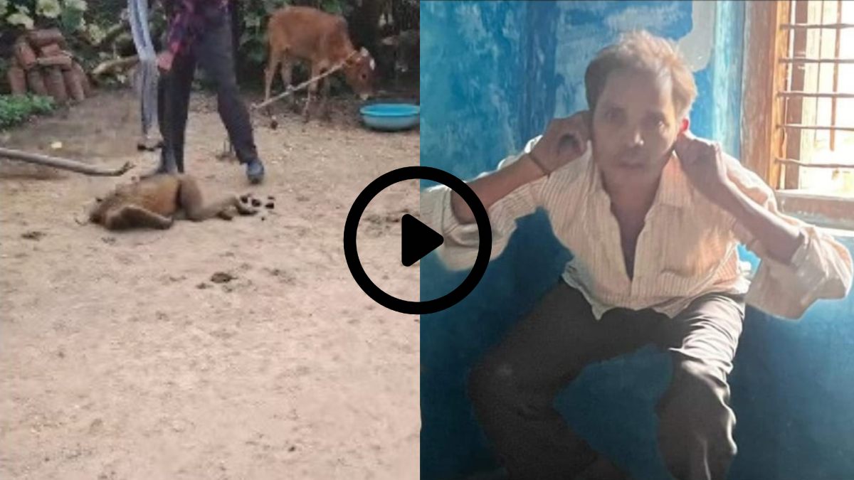 CG NEWS: झुंड से बिछड़े घायल बंदर को नशे में धुत युवक ने पीटा, शराबी की कारस्तानी देख रह जाएंगे दंग…