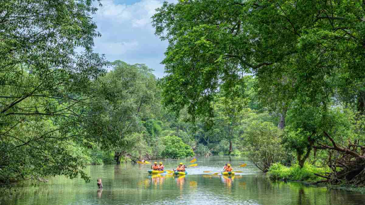 विश्व पर्यटन मानचित्र में बस्तर के धुड़मारास गांव ने बनाई अपनी जगह, मुख्यमंत्री विष्णुदेव साय ने दी बधाई