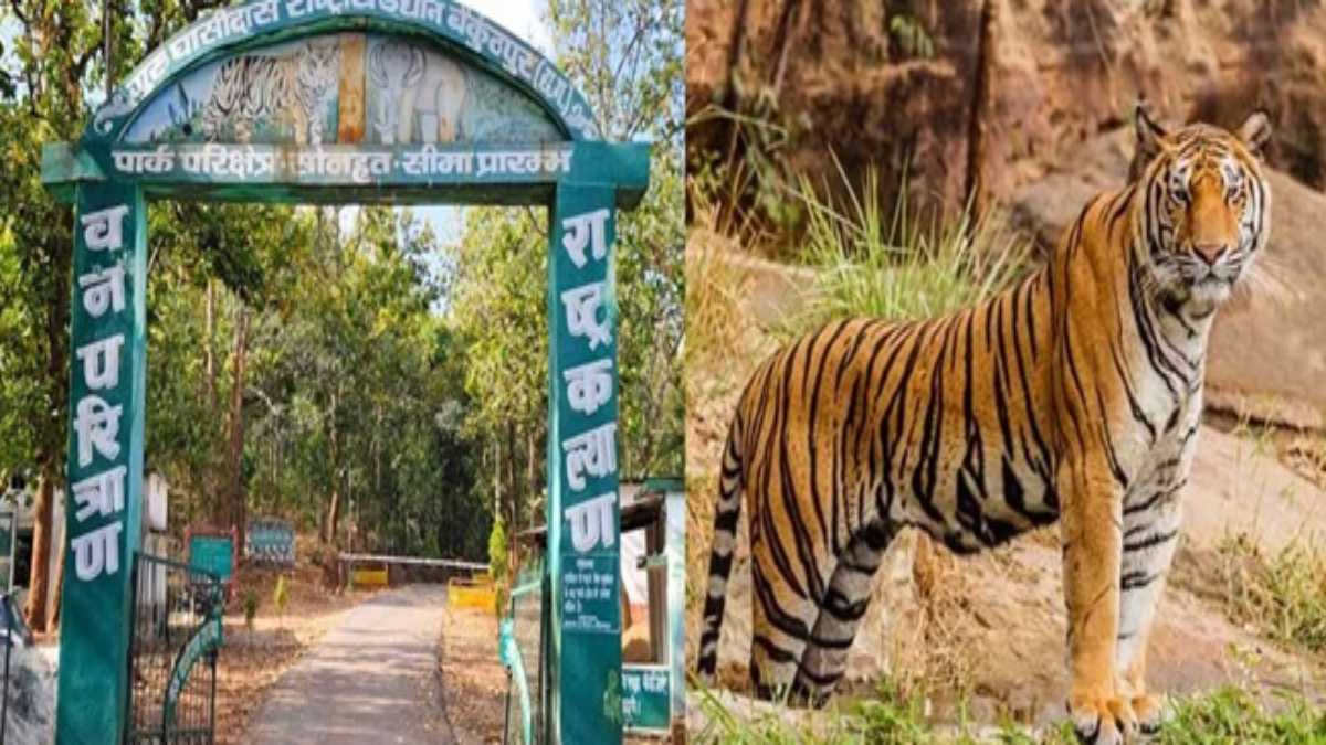 Chhattisgarh : देश का 56वां टाइगर रिजर्व बना गुरु घासीदास-तमोर पिंगला उद्यान, नोटिफिकेशन जारी