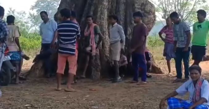 कोरापुट : बैंक से वृद्धावस्था पेंशन नहीं निकाल पाई बुजुर्ग महिला, घर लौटते समय हुई मौत