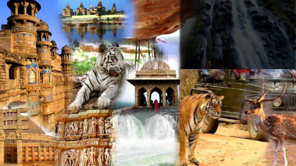 World Heritage Week: कल राज्य संरक्षित स्मारकों और संग्रहालयों में दर्शकों का प्रवेश रहेगा निःशुल्क, फ्री में घूम सकेंगे पर्यटक
