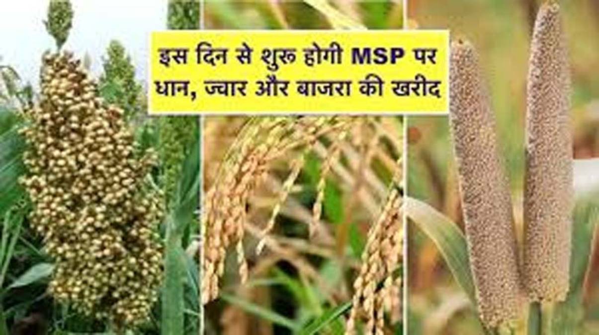 MP में उपार्जन नीति घोषितः धान 2300, ज्वार 3371 और बाजरा 2625 रुपए क्विंटल एमएसपी की दर पर खरीदेगी सरकार