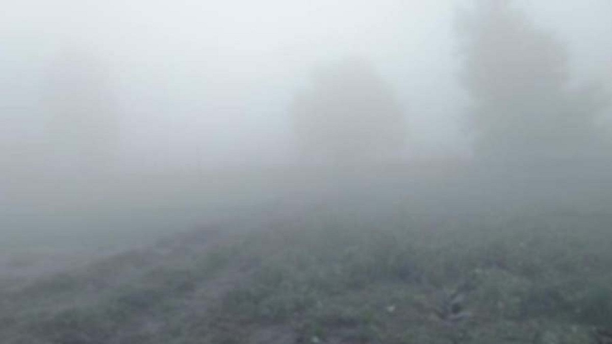 UP Weather: लखनऊ में छाया घना कोहरा, सुबह 9-10 बजे तक नहीं निकली धूप, जानिए मौसम का हाल