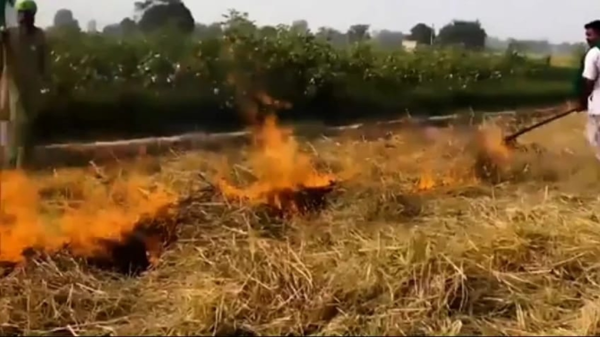 पराली जलाना पड़ा महंगा: 17 किसानों पर कलेक्टर ने लगाया जुर्माना, दी जा रही समझाइश 