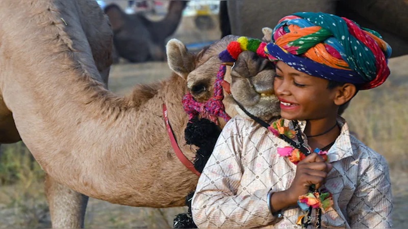 Pushkar Fair 2024: विश्व प्रसिद्ध पुष्कर पशु मेले का आज से शुभारंभ, दिखेगी राजस्थानी संस्कृति की झलक