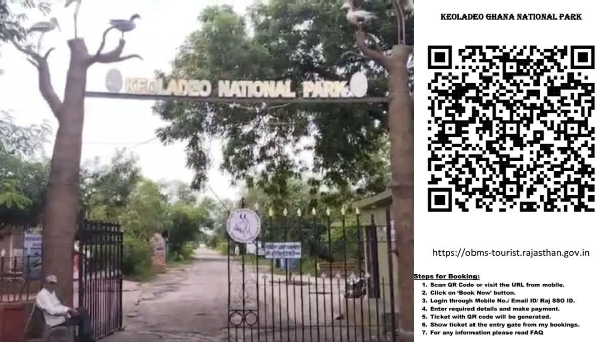 Rajasthan News: केवलादेव राष्ट्रीय उद्यान में क्यूआर कोड से टिकट बुकिंग शुरू; पर्यटकों को लाइन में लगने से मिली राहत