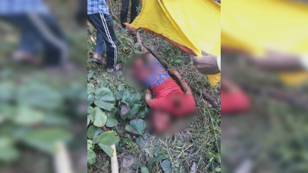 बाघ ने युवक को बनाया शिकार: जंगल में धड़ से अलग मिला सिर, जांघ का हिस्सा गायब, मवेशी चराने गया था