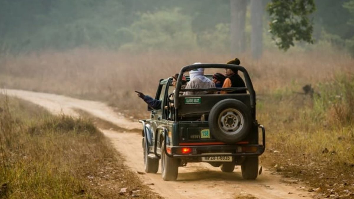 Van Vihar National Park: वन विहार राष्ट्रीय उद्यान घूमना हुआ महंगा, जानें अब कितना लगेगा शुल्क